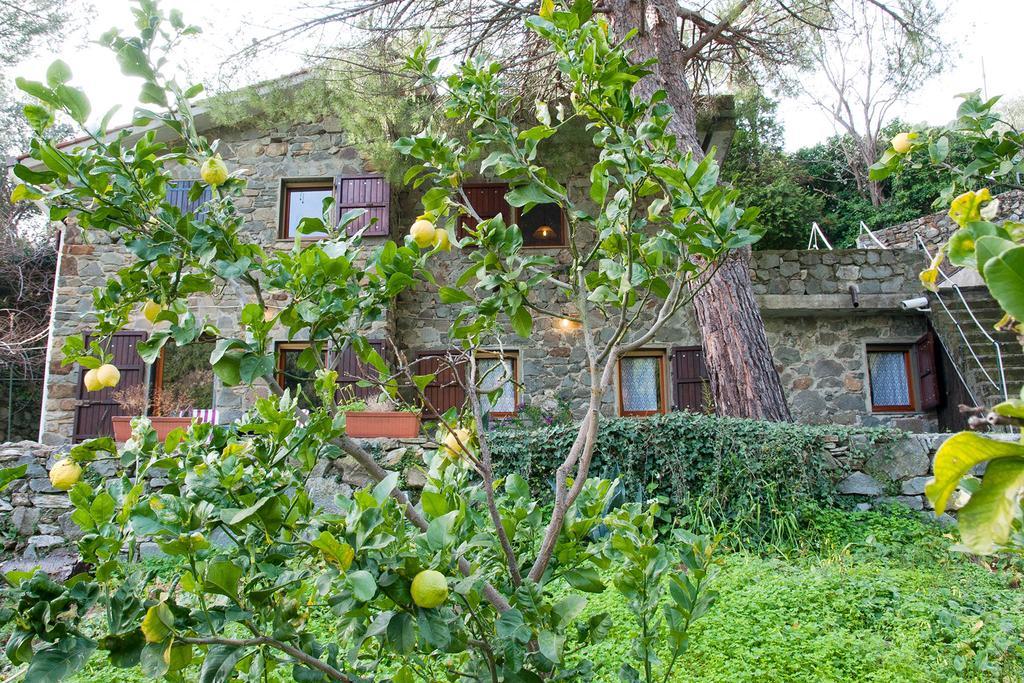 Due Pini Appartamento Corniglia Esterno foto