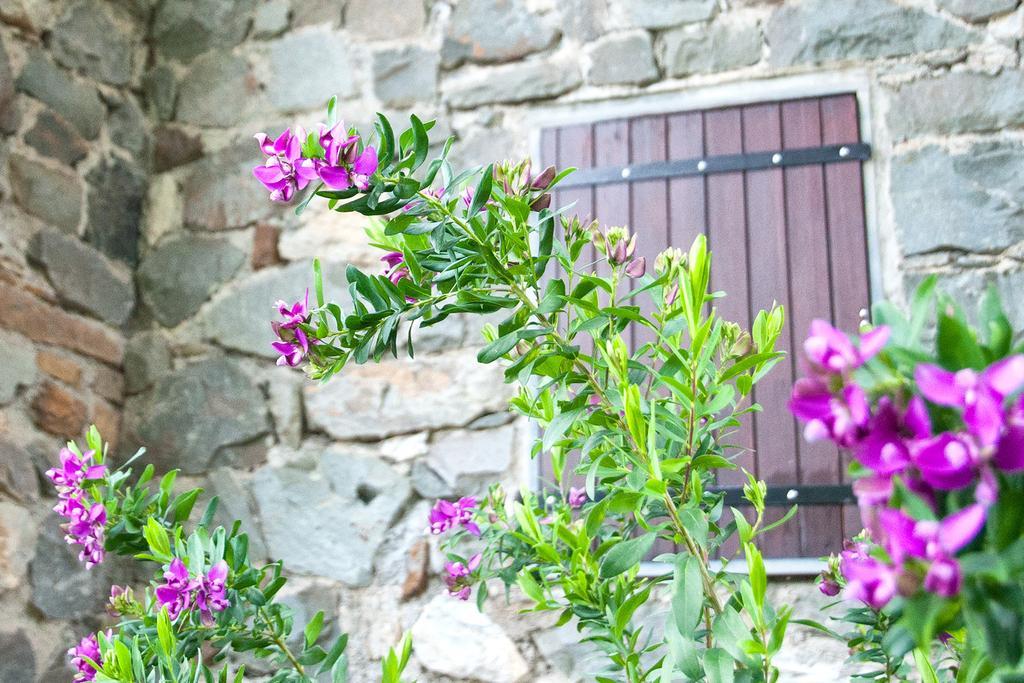 Due Pini Appartamento Corniglia Esterno foto