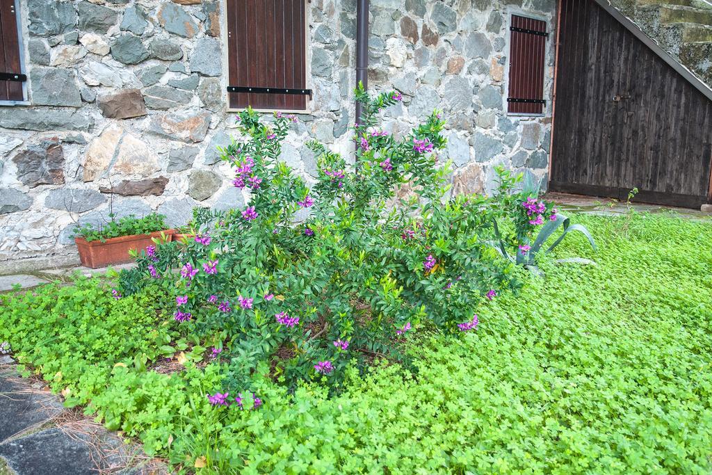 Due Pini Appartamento Corniglia Esterno foto