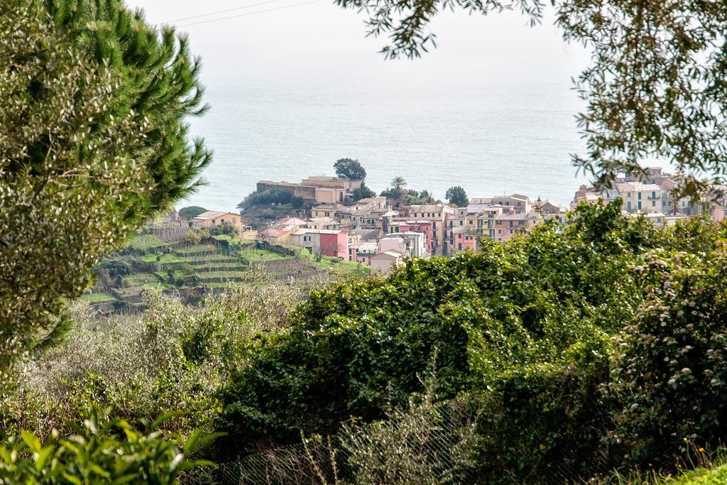 Due Pini Appartamento Corniglia Esterno foto